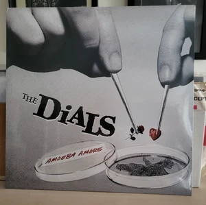 The Dials Amoeba Amore Chicago Female Punk Power Pop SEALED LP - Picture 1 of 2