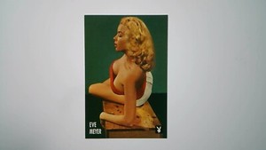 1995 Playboy Centerfold Collector Card June #5 Eve Meyer
