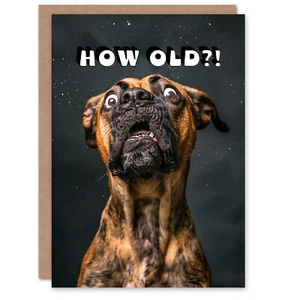 Geburtstagskarte geschockter Boxer Hund Foto wie alt lustiger Witz frech für ihn sie - Bild 1 von 6