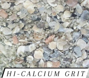 Hi Calcium Grit & Oyster Shells for Birds & Chickens 1 Pound *Buy 2 Get 1 FREE* - Picture 1 of 3