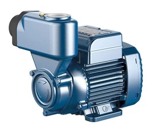 PEDROLLO Hauswasserwerk robuste Selbstansaugende Hauswasser PKSm 60 0,37 kW 230V - Bild 1 von 2