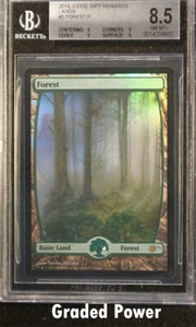 Promo Judge Reward Forest  8.5  (8850) Magic MTG - Picture 1 of 2