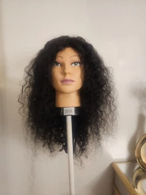 High Quality regular Top Black 20 to 22" curly 100% Virgin Human Hair Lace Wig  - Image 1 of 4