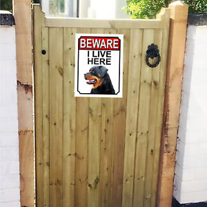 Beware I Live Here Rottweiler Metal Gate Sign 150mm x 200mm 1082H1