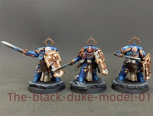 Bladeguard Veterans Warhammer 40K Space Marines Ultramarines Pro Painted - Picture 1 of 6