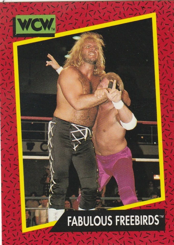 FREE SHIPPING-1991 Impel WCW Fabulous Freebirds Jimmy Garvin Michael Hayes #123 - Image 1 of 1