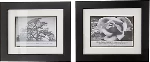 Kole Ansel Adams Oak Tree & Rose Framed Art 12.5 x 10.5 - Picture 1 of 2