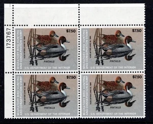 USA Federal Duck Stamp- Sc #RW50 Plate Block $7.50 Pintails OG & NH, XF - Picture 1 of 1
