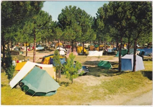 MARINA ROMEA - RAVENNA - CAMPING - VIAGG. -85420- - Bild 1 von 1