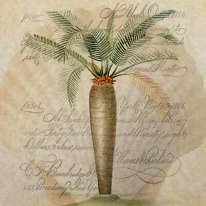 Palme Akzent & Dekor Fliese Steve Hunziker tropische Kunst OB-SH916AT - Bild 1 von 2