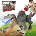 Télécommande jouets de dinosaure RC pour enfants réalistes spinosaurus jurassiques dinosaure...