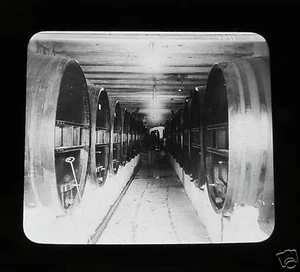 Glas Zauber Laterne Dia WEINKELLER WOHL IN MENDOZA UM 1910 ARGENTINIEN - Bild 1 von 2