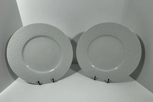 (2) Piatti grandi bianchi modello Apilco Porcelaine France "Aqua" 12,25" - Foto 1 di 10