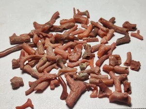 Finest Quality Natural Coral Raw Crystals 73 Carats Red Color - Picture 1 of 4
