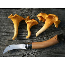 Photograph Food Knife Chanterelle Mushroom Fungus Art Print