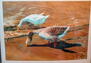 DUCKS DRINKING WATER SIGNED UNKNOWN ARTIST LIMITED EDITION ART PRINT 138/425 - Picture 1 of 3