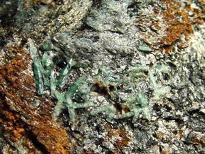 Smaragd Kristall Stufe 65 mm - Habachtal, Österreich (4450t) - Bild 1 von 2