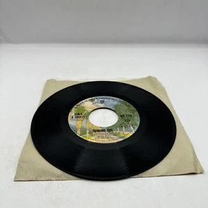 45 RPM RECORD: Seals and Crofts 45 rpm "Diamond Girl" on Warner Bros. Records - Picture 1 of 2