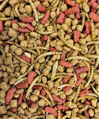 Rep-Cal Plus Aquatic Turtle Diet - Image 1 of 2