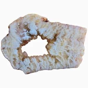 Stinkende Wasserfahne Achatplatte - Botryoidales Zentrum mit weißen Federn - Oregon - Bild 1 von 6