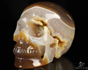 4.5" Agate Geode Hand Carved Crystal Skull, Realistic, Crystal Healing - Picture 1 of 9
