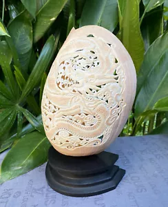 Large Melon Sea Shell Carved Seashell stunning carved Dragon Shell incl Stand - Picture 1 of 10