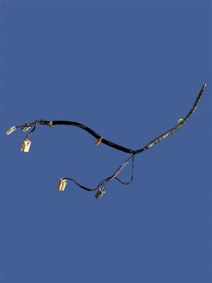 02-04 Honda Acura RSX DC5 lado del conductor izquierda izquierda bombilla conector enchufes OEM Foto 1 de 2