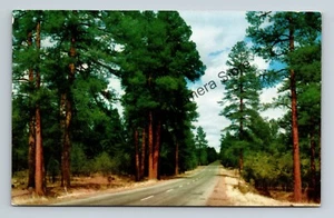 Postkarte Ponderosa Kiefernwald Arizona Autobahn - Bild 1 von 2
