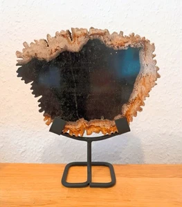 Versteinertes Holz auf Metallständer - Bild 1 von 3