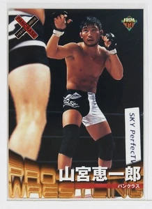 Tarjeta coleccionable Keichiro Yamamiya - 1999 BBM Pro-Wrestling - Imagen 1 de 3