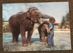 alte 3D-Karte Wackelkarte Elefant Elephant ungelaufen - Bild 1 von 1