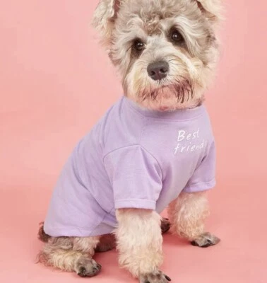 Dog Or Cat Pet T 恤 Best Friends 紫色服装 — 第 1/4 张图片