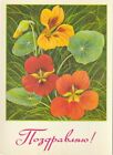 Soviet Flower Postcard,1982 - Greetings! - Nasturtium