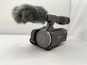 SONY NEX-VG30 Handycam E-mount Video Camera With Accessories~Very Good Condition - Picture 1 of 11