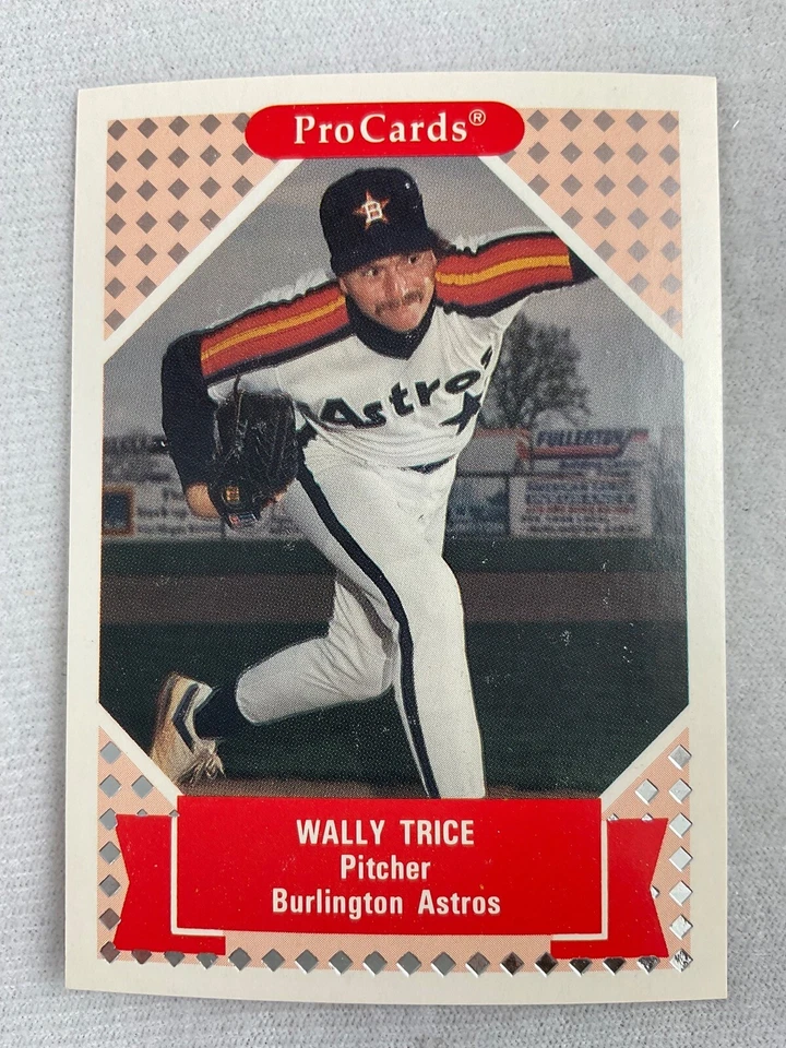 1991 Tomorrow's Heroes Baseball Card#232-Wally Trice, Burlington Astros - Image 1 of 1