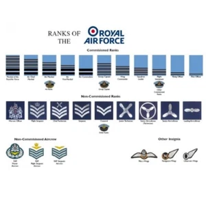RANKS OF THE ROYAL AIR FORCE MILITARY RAF POSTER A3 POSTER RECRUITS CADETS - Foto 1 di 3