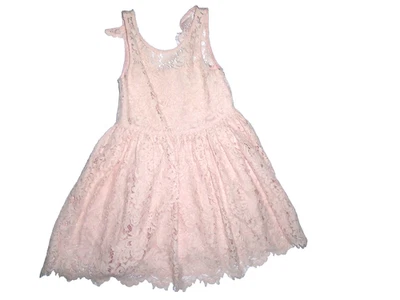 VESTIDO POLO BY RALPH LAUREN NIÑAS 4-4T ROSA CLARO ENCAJE TOTALMENTE FORRADO Foto 1 de 4