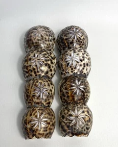 Vintage Napkin Rings - Cowri Shell Napkin Rings - 8 Hand Carved Shells - GC - Picture 1 of 9