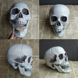 Halloween Artificial Skull Head Model Skull Bone Scary Horror Skeleton Ornament - Picture 1 of 16