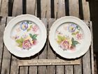 2 Vintage Edwin Knowles Whitney Plates 9 1/4"