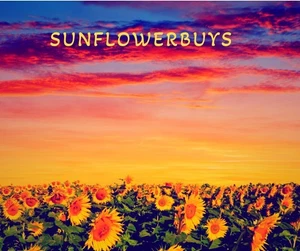 COVERGIRL CG Neu Vintage Augenverstärker Mix Match Quad Warm 215 COUNTRY WOODS - Bild 1 von 1