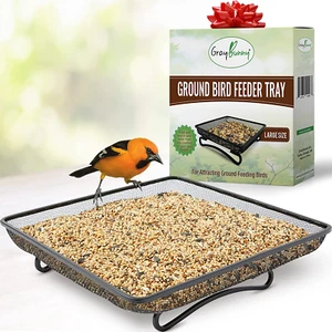 11X11 Inches, Cardinal Bird Feeder, Blue Jay Feeder, Squirrel Feeders Outside - Picture 1 of 7