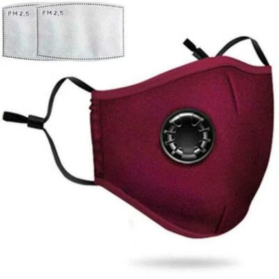 Reusable Washable Cloth Face Mask Air Port PM2.5 Carbon Filter USA Same Day Ship - Image 1 of 4