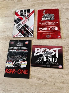 Lot of 4 Different Brampton Beast ECHL Pocket Schedules - Near Mint - Picture 1 of 1