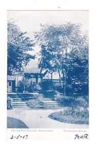 1907 Glen Oak Park, Peoria, IL. Natures Carpet Antique Postcard - Picture 1 of 2