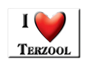 Terzool, Boarnsterhim, Friesland - Koelkastmagneet Holland Cadeau Herinnering - Picture 1 of 9