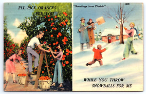 Greeting from Florida Oranges / Snowballs 1945  Linen Postcard