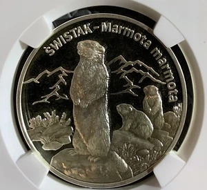 2006 POLAND SILVER 20 Z ALPINE MARMOT NGC PF67 ULCA - Picture 1 of 3