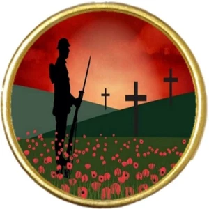 Lest We Forget Poppy Military Gold Colour Badge And Velveteen Bag - Picture 1 of 4