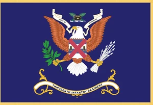Banderas rectangulares - Colores de regimiento - 13º IR - PRIMERO EN VICKSBURG - Bandera - Imagen 1 de 1